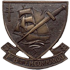 Insigne du bérêt vert